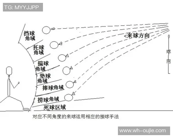 从零基础到高手之路:全面掌握排球速度技巧与训练方法 从零基础到高手之路:全面掌握排球速度技巧与训练方法