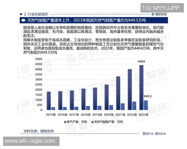 数据分析:液化天然气运输速度的全面评估与趋势研究 数据分析:液化天然气运输速度的全面评估与趋势研究
